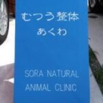 横浜市瀬谷区：むつう整体あくわ